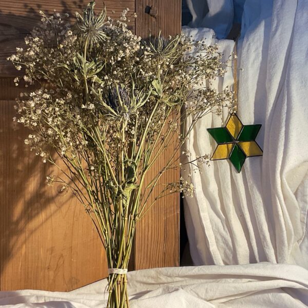 Petite étoile verte et jaune